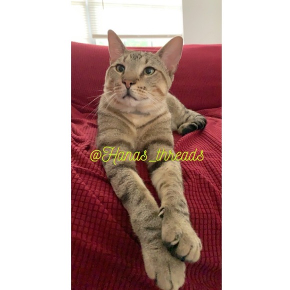 Welcome to my closet! - Picture 8 of 8